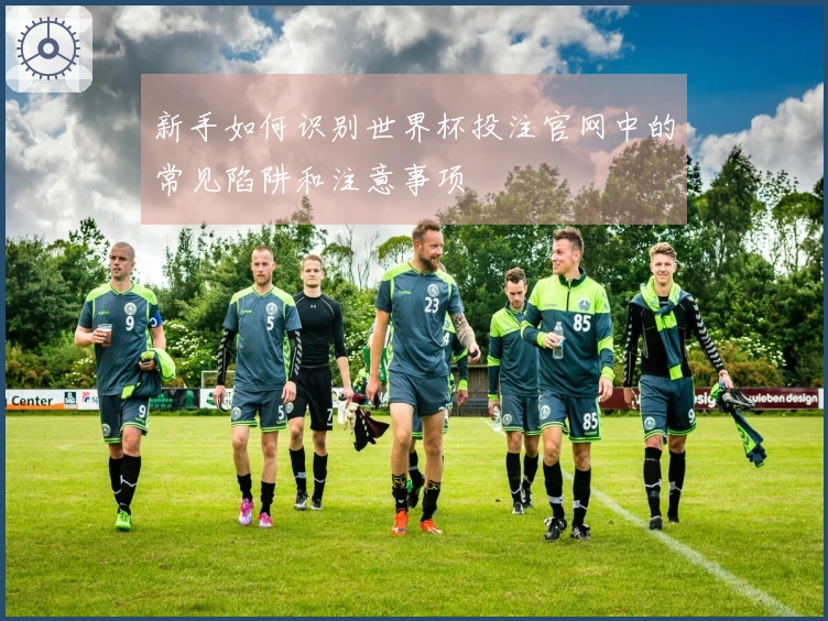 新手如何识别世界杯投注官网中的常见陷阱和注意事项