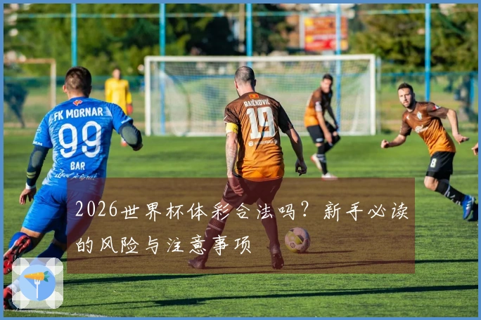 2026世界杯体彩合法吗？新手必读的风险与注意事项